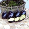 Patio Baby Eggplant Seeds Online Hot Sale