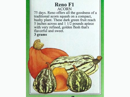 Reno Winter Squash Seeds Cheap