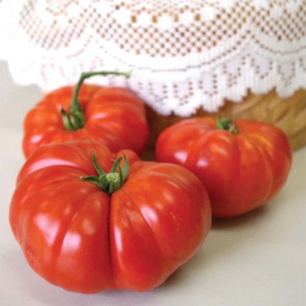 Grandma s Pick Tomato Seeds For Cheap