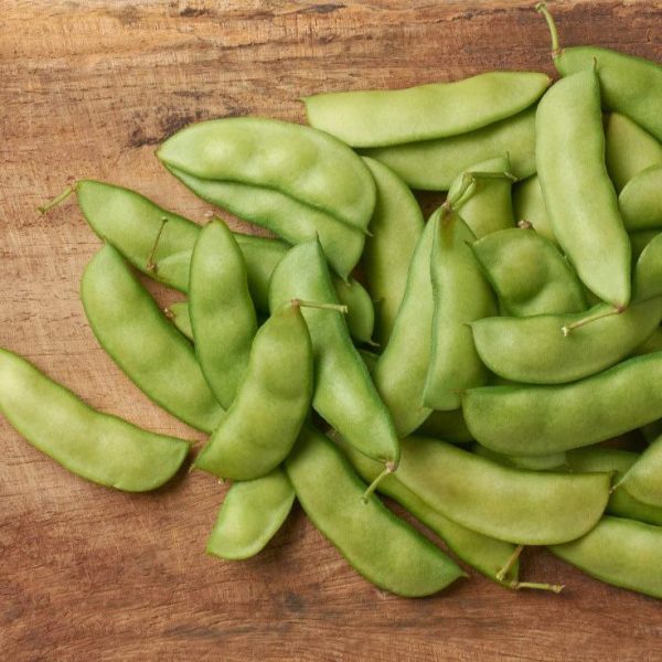 Henderson Lima Bush Bean Seeds (Organic) Hot on Sale