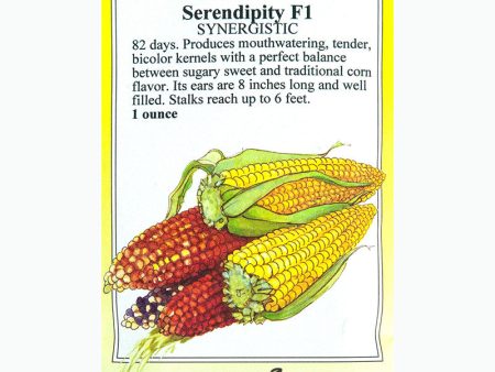 Serendipity Corn Seeds Sale