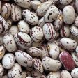 Borlotto Lingua Di Fuoco Nano Dry Shell Bush Bean Seeds on Sale