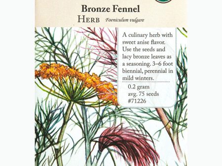 Bronze Fennel Seeds (Organic) Hot on Sale