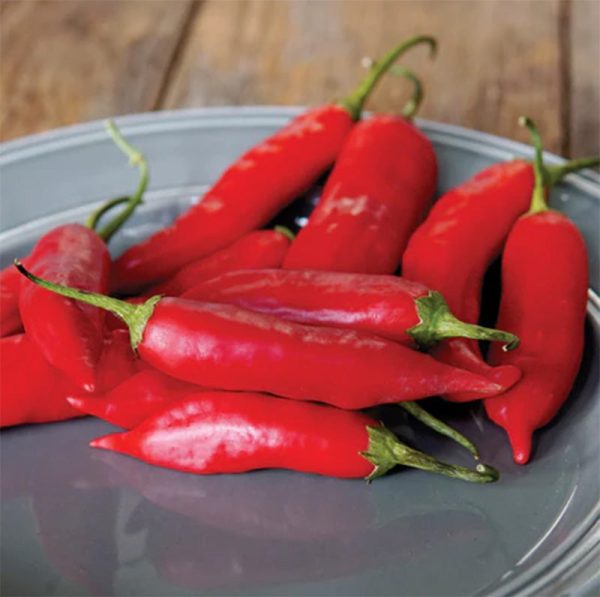 Aji Rico Hot Pepper Seeds Online now