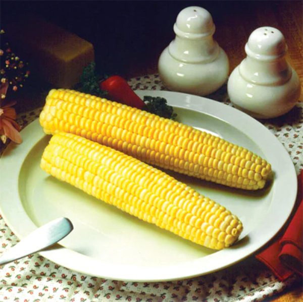 Honey & Cream Corn Seeds Online now