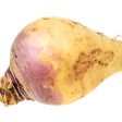 Nadmorska Rutabaga Seeds (Organic) Hot on Sale