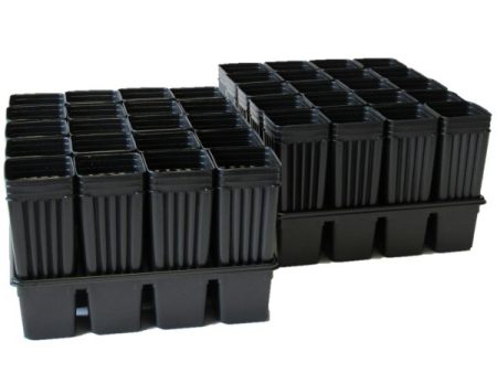 2 20 Pocket Trays with 40 Grapevine Pots Online