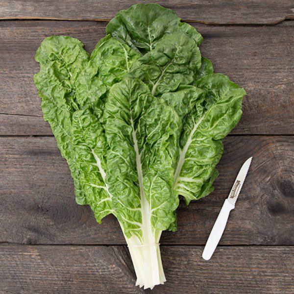 Fordhook Giant Chard Seeds (Organic) Cheap