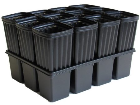 12 Pocket Tray with 12 Almond Tree Pots Discount