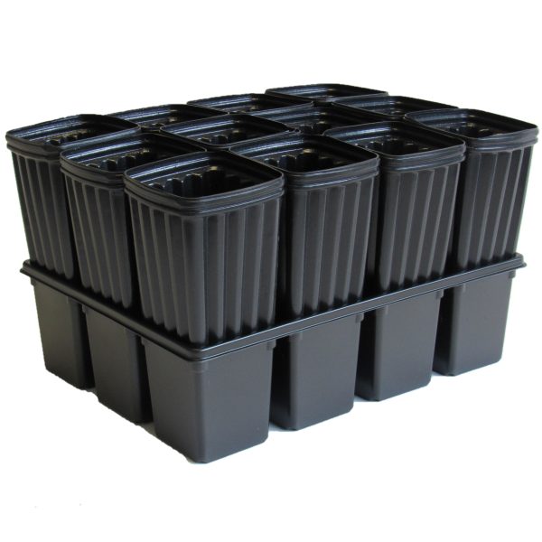 12 Pocket Tray with 12 Almond Tree Pots Discount