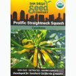 Prolific Yellow Straightneck Summer Squash Seeds (Organic) on Sale