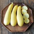 Smooth Criminal Summer Squash Seeds Sale