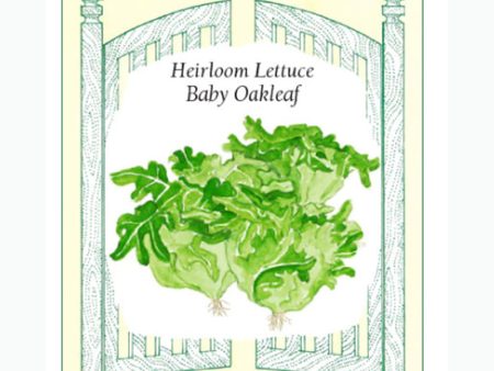 Baby Oakleaf Lettuce Seeds Online Sale