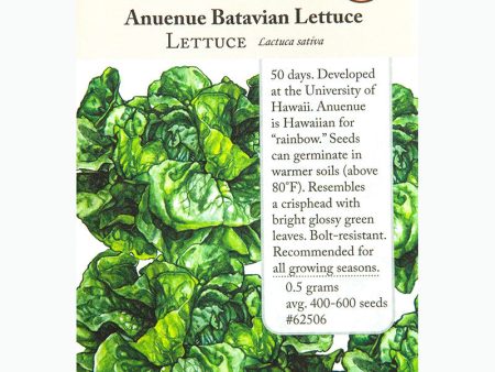 Anuenue Crisphead Batavian Lettuce Seeds (Organic) For Sale