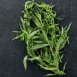 Organic French Tarragon (1 Gallon) For Discount