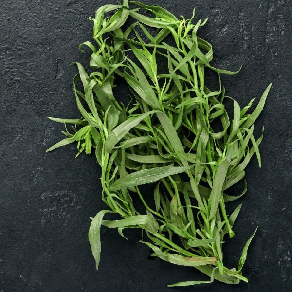 Organic French Tarragon (1 Gallon) For Discount