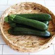 Emerald Delight Summer Squash Seeds Online Hot Sale