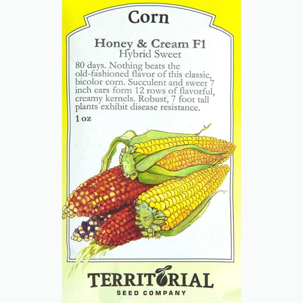 Honey & Cream Corn Seeds Online now