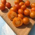 Honey Drop Cherry Tomato Art Pack (Organic) Fashion