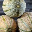 Hales Best Melon Seeds (Organic) Discount