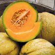 PMR Delicious 51 Melon Seeds (Organic) Online now