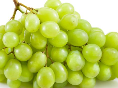 Table Grape Vine - Niagara (Seedless) Cheap