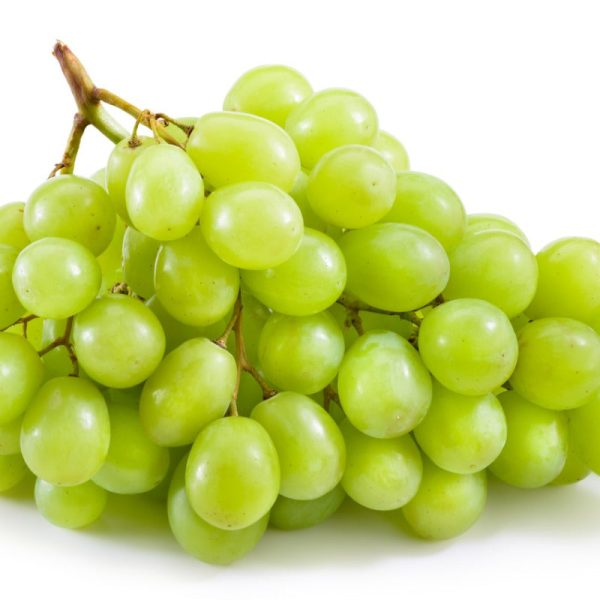 Table Grape Vine - Niagara (Seedless) Cheap