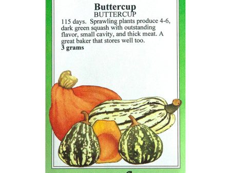 Buttercup Winter Squash Seeds For Cheap