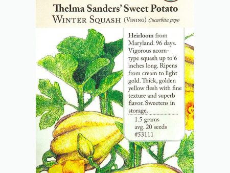 Thelma Sanders Sweet Potato Winter Squash Seeds (Organic) For Sale