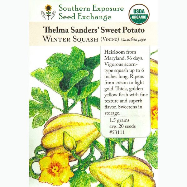 Thelma Sanders Sweet Potato Winter Squash Seeds (Organic) For Sale