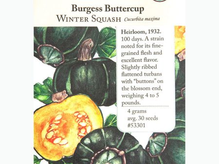 Burgess Buttercup Winter Squash Seeds (Organic) Online Sale