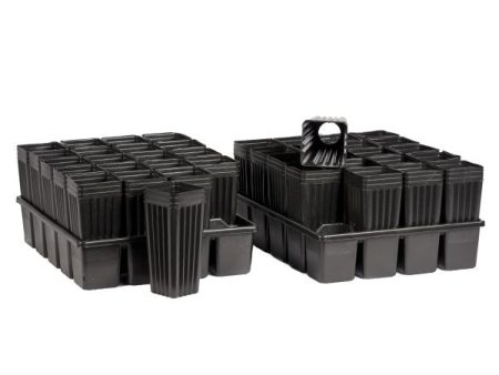 2 Heavy 20 Pocket Trays with 40 Peach Tree Pots Online Hot Sale