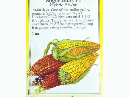 Sugar Buns Corn Seeds For Sale