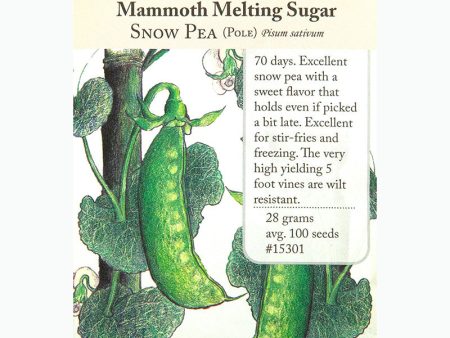 Snow Mammoth Melting Sugar Pea Seeds (Organic) Online Sale