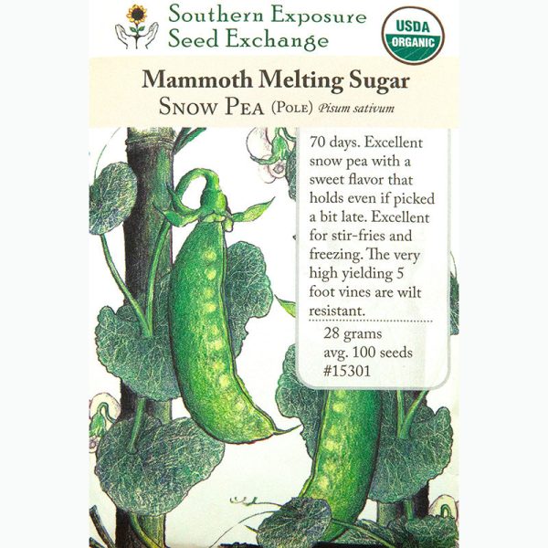 Snow Mammoth Melting Sugar Pea Seeds (Organic) Online Sale