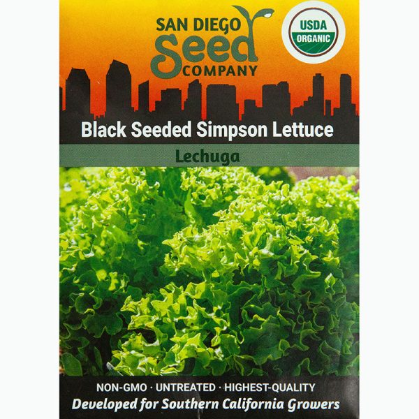 Black Seeded Simpson Lettuce Seeds on Sale