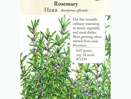 Rosemary Seeds (Organic) Supply