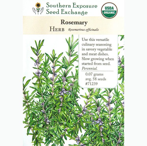 Rosemary Seeds (Organic) Supply