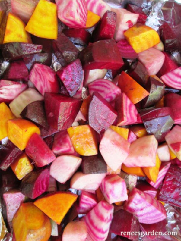 Five Color Rainbow Gourmet Beet Seed Mix Online Sale