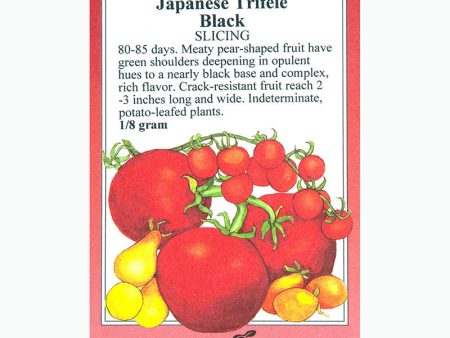 Japanese Trifele Black Tomato Seeds For Cheap