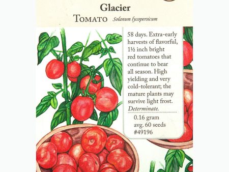 Glacier Tomato Seeds (Organic) on Sale