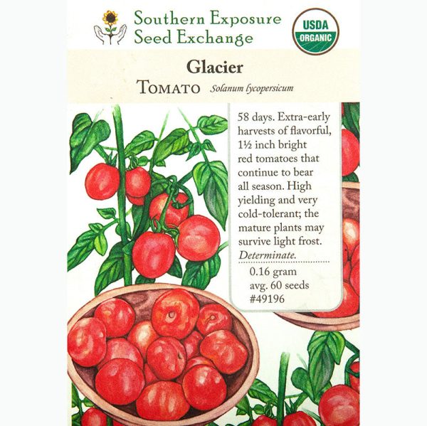 Glacier Tomato Seeds (Organic) on Sale