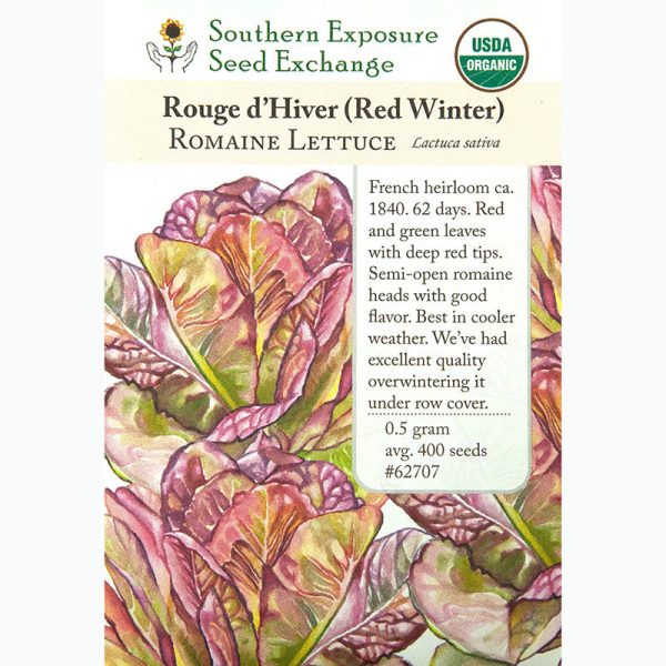 Rouge D Hiver Romaine Cos Lettuce Seeds (Organic) For Cheap