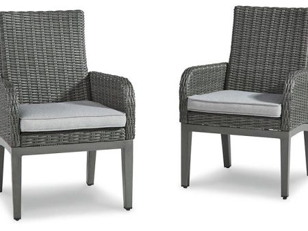 Elite Park Arm Chair with Cushion (Set of 2) Sale