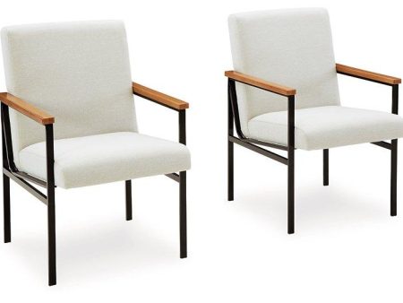 Dressonni Dining Arm Chair Sale