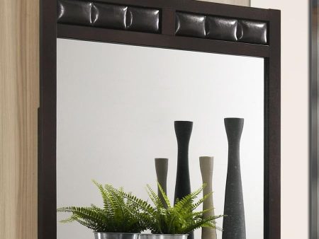 Carlton Upholstered Rectangular Dresser Mirror Cappuccino Online Sale