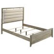 Giselle Wood Queen Panel Bed Rustic Beige Online Sale