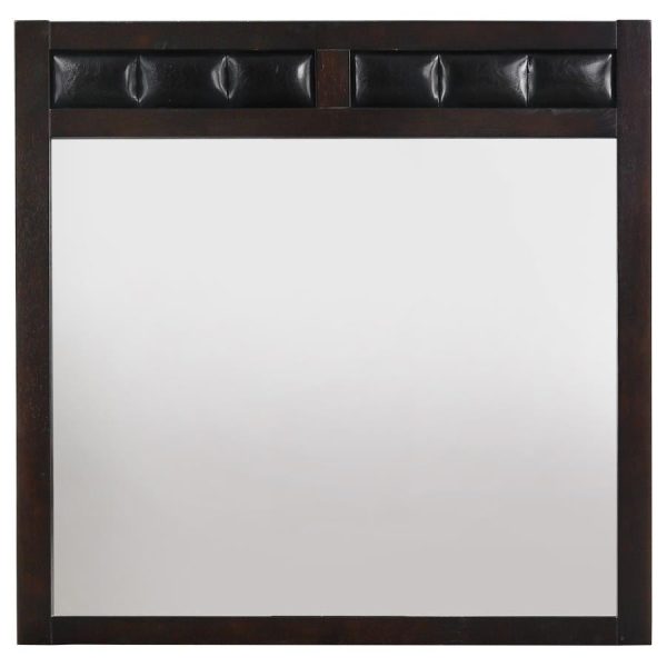 Carlton Upholstered Rectangular Dresser Mirror Cappuccino Online Sale