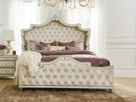 Antonella Upholstered Tufted Ivory and Camel Hot on Sale