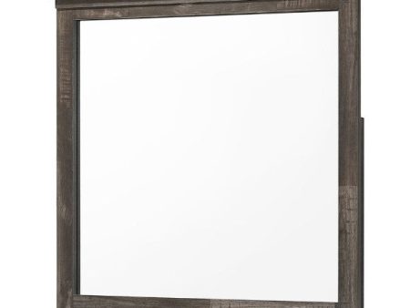 Carter Brown Gray Dresser Mirror Online now